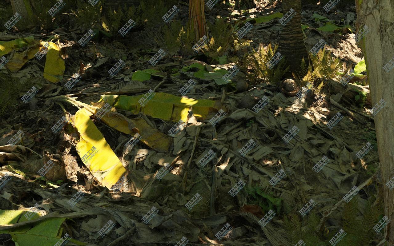 images/goods_img/202105071/Real Palm Forest HD 3D model/5.jpg